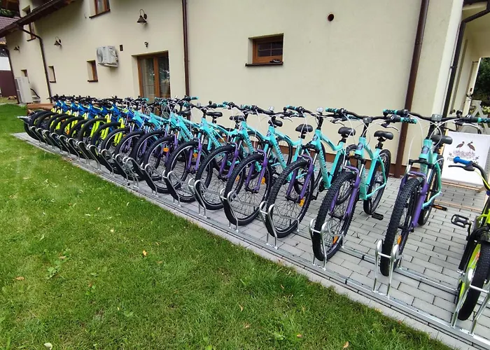 Pod Bocianami Kaszuby * Grabowska Huta